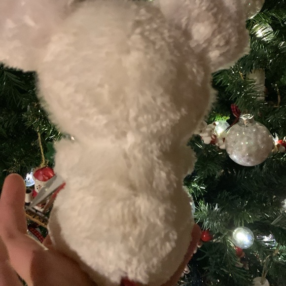 Beanie, boos, white mouse, with peppermint ears name is chimney - Picture 3 of 6